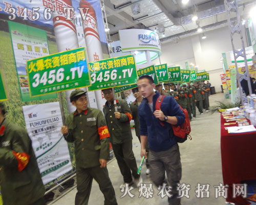 𱬾W(wng)(hu)೬Խl(f)չ