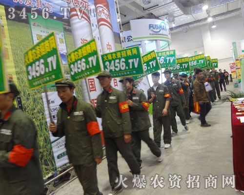 ɽ|ֲÄݴ(qing)׌