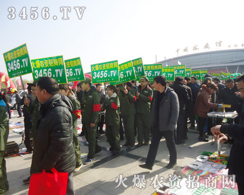 r(nng)Y̾W(wng)l(f)DͣϢ