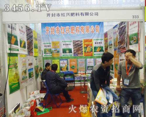 2013ݷp(hu)ɹ_Ļ_мtdϞȲ