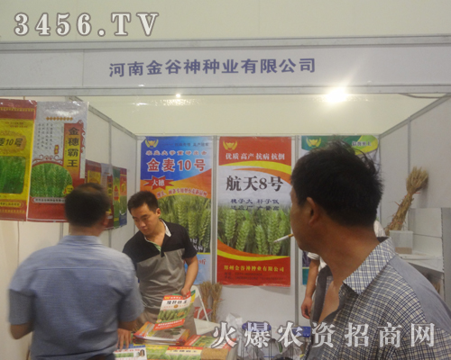 金谷神種業(yè)努力拼搏2013鄭州種子會