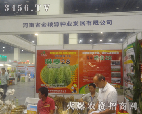 金糧源在2013河南夏季種子會上活力四射