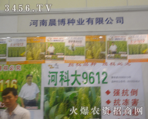 河南晨博種業(yè)在種子會(huì)風(fēng)采迷人