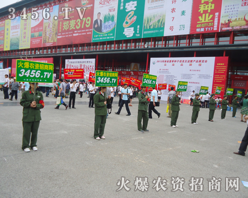 r(nng)Y̾W(wng)˔Ƅ