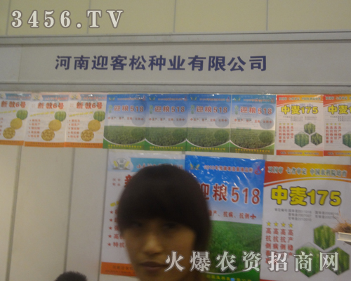 ӭɷNI(y)2013ݷNӕ(hu)