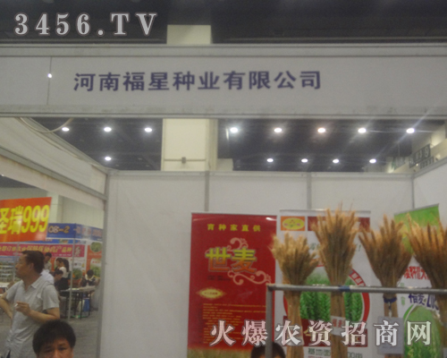 河南福星種業(yè)捆捆小麥展種子棒