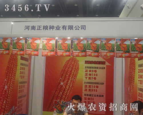 ZNI(y)2013ݷNp(hu)ϴT