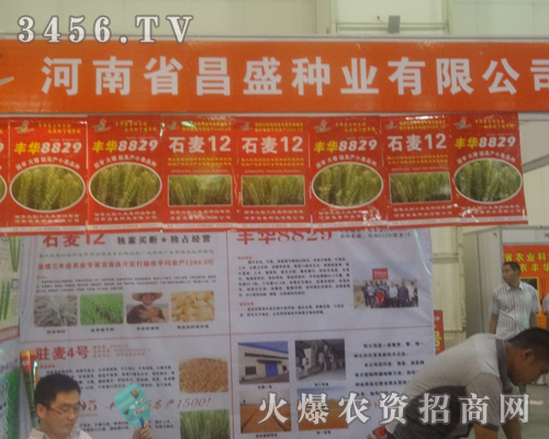 昌盛種業(yè)在2013鄭州種子會上廢寢忘食