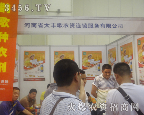 大豐歌在2013河南夏季種子會受人矚目