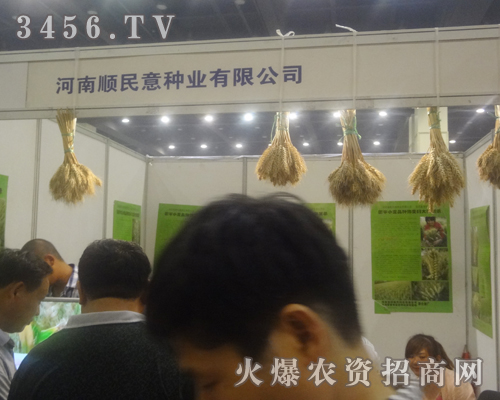河南泰禾種業(yè)參加2013中原種子交易會(huì)!