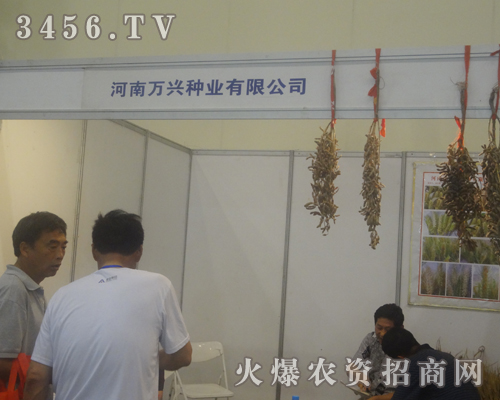 河南未農(nóng)種業(yè)2013鄭州種子交易會上戰(zhàn)績輝煌!