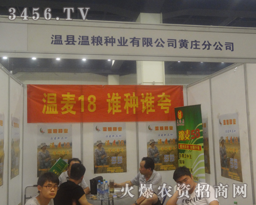 溫縣溫糧種業(yè)有限公司黃莊分公司走進(jìn)2013河南夏季種子會