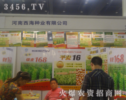 河南新農(nóng)種業(yè)在鄭州種子會上戰(zhàn)績輝煌!