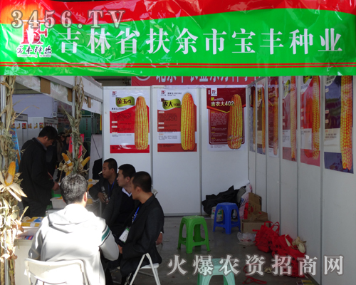 吉林省扶余縣寶豐種業(yè)在2013長(zhǎng)春種子會(huì)展示越的產(chǎn)品