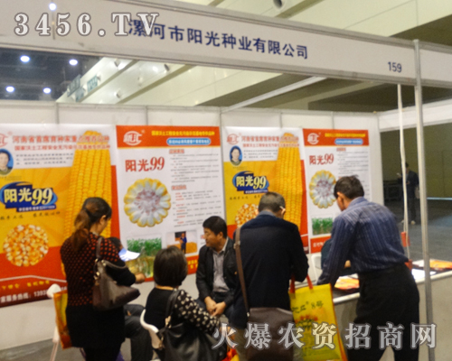 ꖹNI(y)2013ݷNӕȫԸ