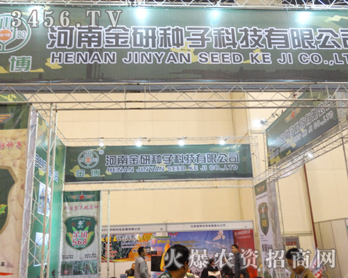 ϽзNӏݳ2013ݷNӽו