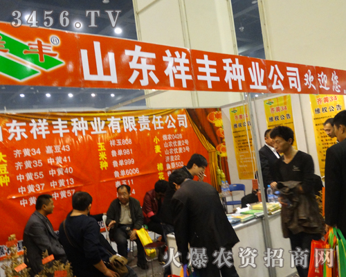 ɽ|SNI(y)˾2013Nӕ(hu)չ(hu)c(din)