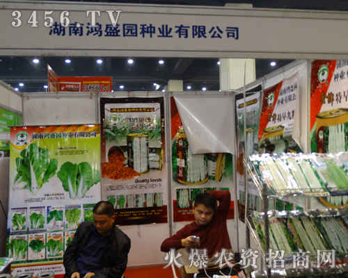 宏盛園種業(yè)與2013鄭州種子會手握手