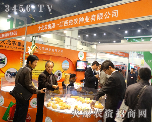 r(nng)NI(y)ɹ2013ݷNӕ