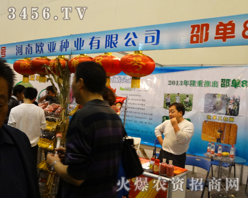 河南歐亞種業(yè)在2013鄭州種子會上孜孜不倦