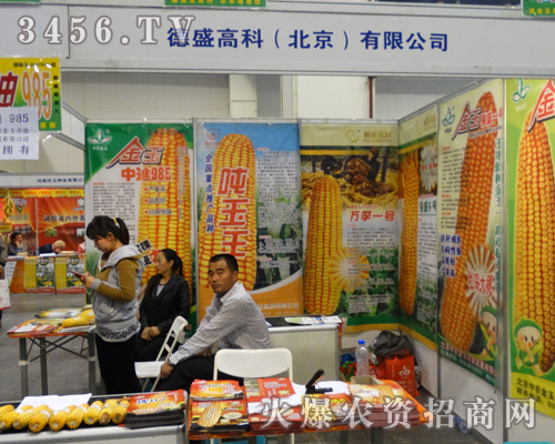 德盛高科(北京)參加2013鄭州秋季種子會
