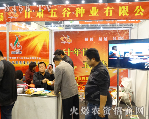 甘肅五谷種業(yè)不負(fù)秋望,在2013河南種子會(huì)上滿載而歸