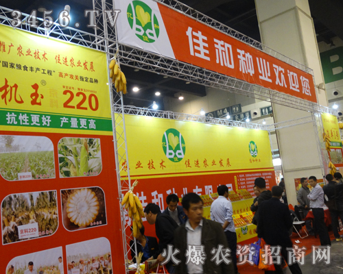 ϼѺͷNI(y)2013ֲչݺꂥ