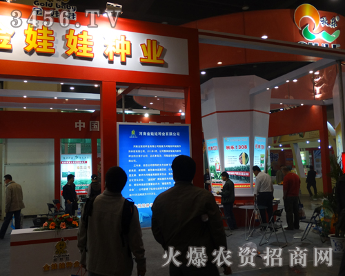 金娃娃種業(yè)在鄭州種子會(huì)做宣傳