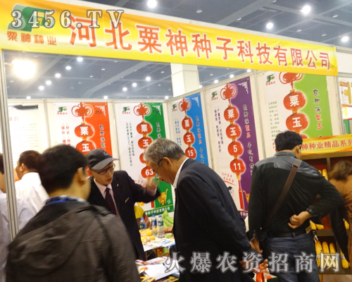河北粟神種子在2013鄭州種子會上孜孜不倦
