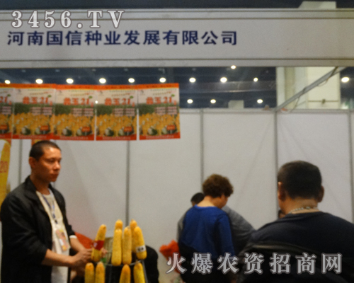 χŷNI(y)2013＾Nӕ(hu)ȫԸ