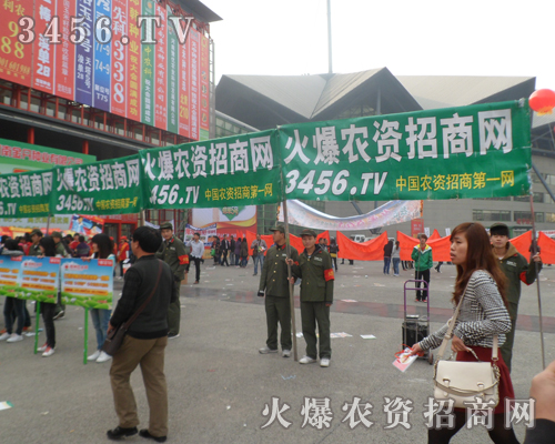 ӭϼϼr(nng)Y̾W(wng)(jin)ֵ