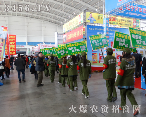 3456.TVĿ׌ÑõҪЧ