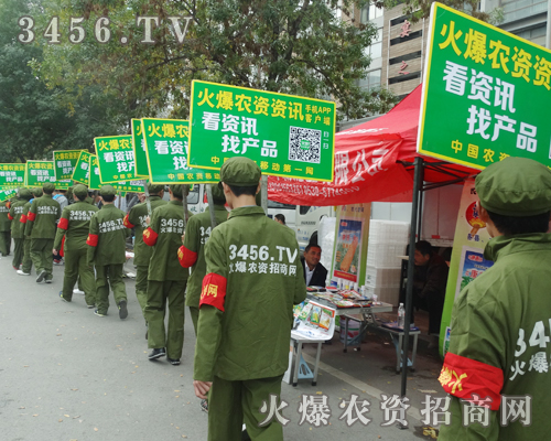 火爆網(wǎng),實(shí)力非凡