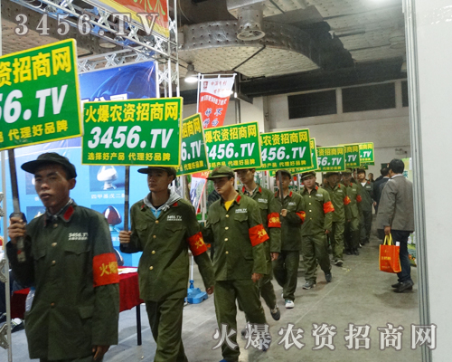 火爆農(nóng)資網(wǎng)行業(yè)領(lǐng)軍者的風(fēng)尚