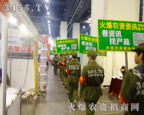 r(nng)Y̾W(wng)ጷżɄʮ