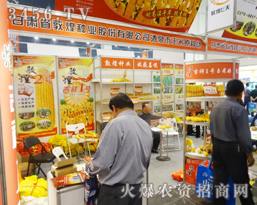 甘肅省敦煌種業(yè)努力拼搏2014鄭州秋季種子會(huì)