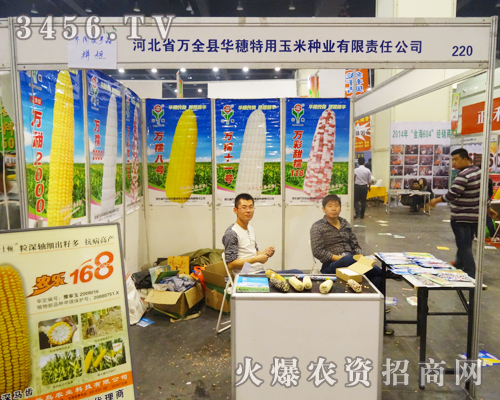 萬(wàn)全縣華穗特用玉米種業(yè)拼搏2014鄭州秋季種子會(huì)