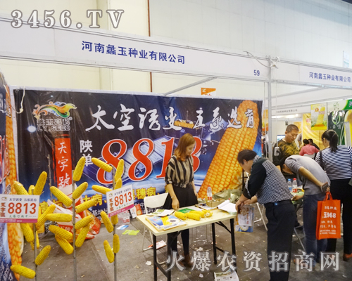 NI(y)2014＾NӕȫP(gun)עc