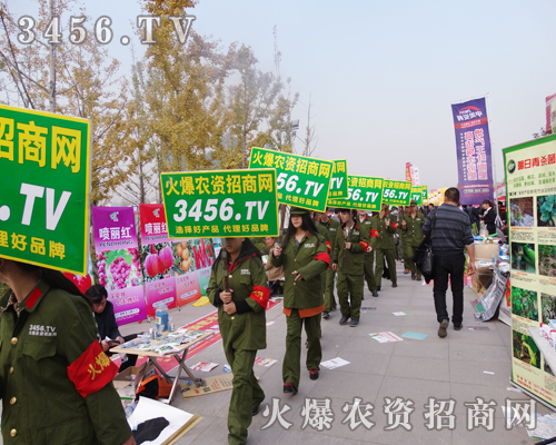 3456.TVȫԸɹǰM(jn)