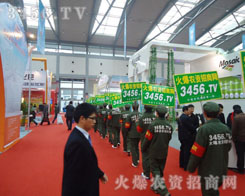 2011׏(f)ʕ𱬾W(wng)׌҂(c)Ŀ