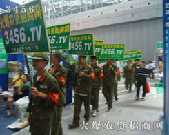 𱬈F꠾Ă(zhn)ݱչgʱF(xin)