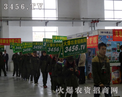 2013LNӕ(hu)r(nng)Y̾W(wng)Ӹ߸e