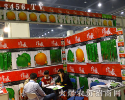 ¡ʢN2013ݷNӕͻչλ