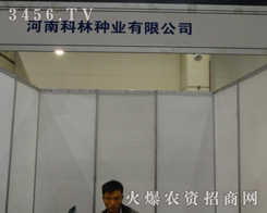 ϿַNI(y)2013ݷNӕ(hu)չF(xin)L(fng)