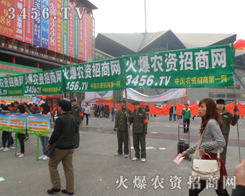 ӭϼϼr(nng)Y̾W(wng)Գֵ