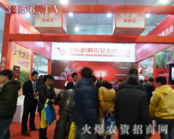 r(nng)𱬅2013ɽ|ʝr(nng)Y