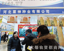 ӱNI(y)2013ʝrYLչʾ