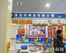 sʝr(nng)YʝPN繫˾