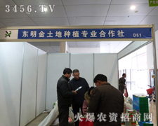 طNֲF(xin)ڰˌúʝɽו(hu)