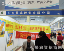 SNI(y)¡؅չڰˌúʝr(nng)Yו